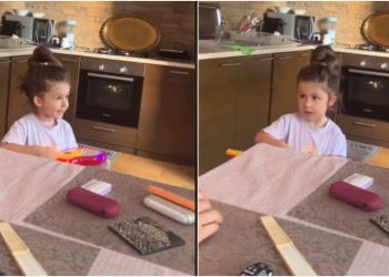 🎥 “ჭკუის კოლოფი” – პატარა ელის მარიას უსაყვარლესი ვიდეო