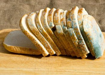 რა მოხდება, თუკი დაობებულ პურს შევჭამთ?