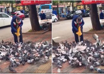 🎥 “მარჯვენა და გული დაგილოცოს უფალმა” – უსაყვარლესი ბაბუს ემოციური ვიდეო სოც ქსელს იპყრობს