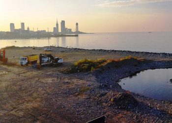 “მთავრობა მალავს ხელოვნური კუნძულის შესახებ დოკუმენტებს” – რა ინფორმაციას ავრცელებს “ბათუმელები”