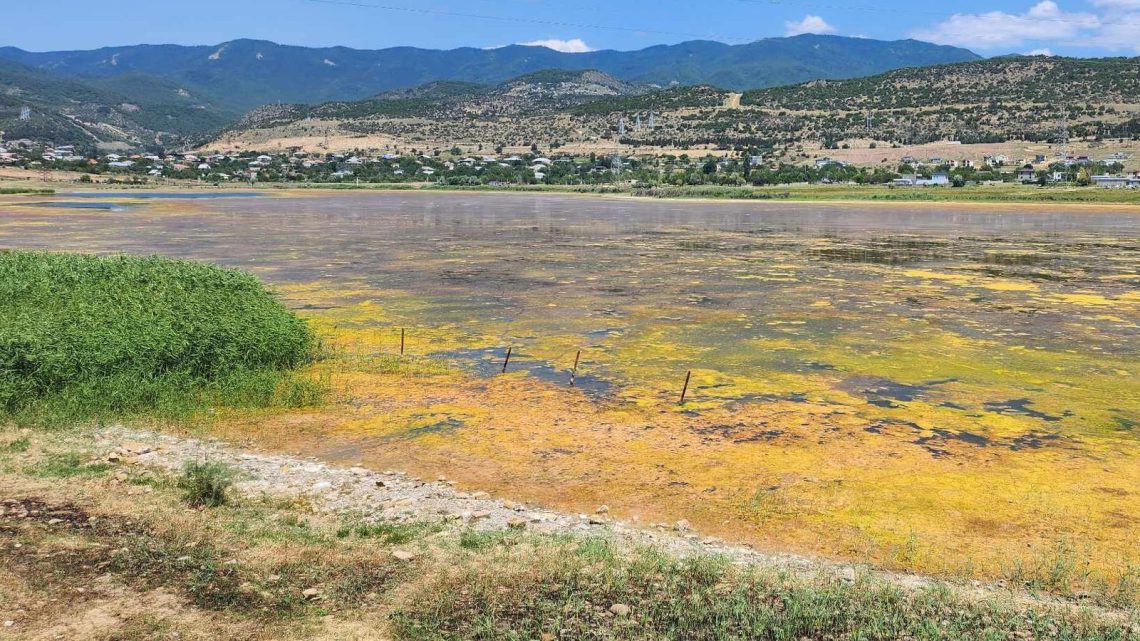 “ბიზნესმენი აცხადებს, რომ ტბის წყალი სახელმწიფოს საკუთრებაა, ფსკერი კი თავისი” – რა ინფორმაცია ვრცელდება გლდანის ტბაზე