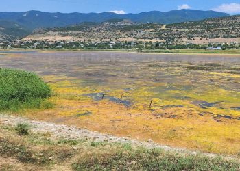 “ბიზნესმენი აცხადებს, რომ ტბის წყალი სახელმწიფოს საკუთრებაა, ფსკერი კი თავისი” – რა ინფორმაცია ვრცელდება გლდანის ტბაზე