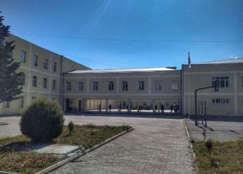 გორის მე-3 საჯარო სკოლაში მოსწავლე ძაღლმა დაკბინა – როგორია მოზარდის ჯანმრთელობის მდგომარეობა