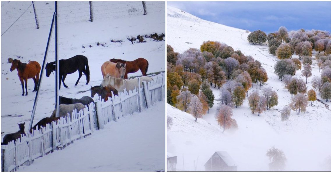 📷 „დათოვლილი აჭარა“ – სოციალურ ქსელში ულამაზესი ფოტოები ვრცელდება