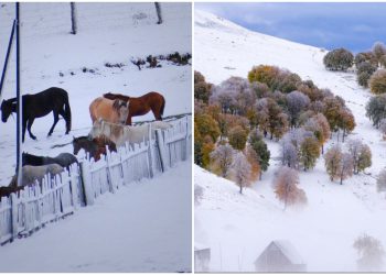 📷 „დათოვლილი აჭარა“ – სოციალურ ქსელში ულამაზესი ფოტოები ვრცელდება