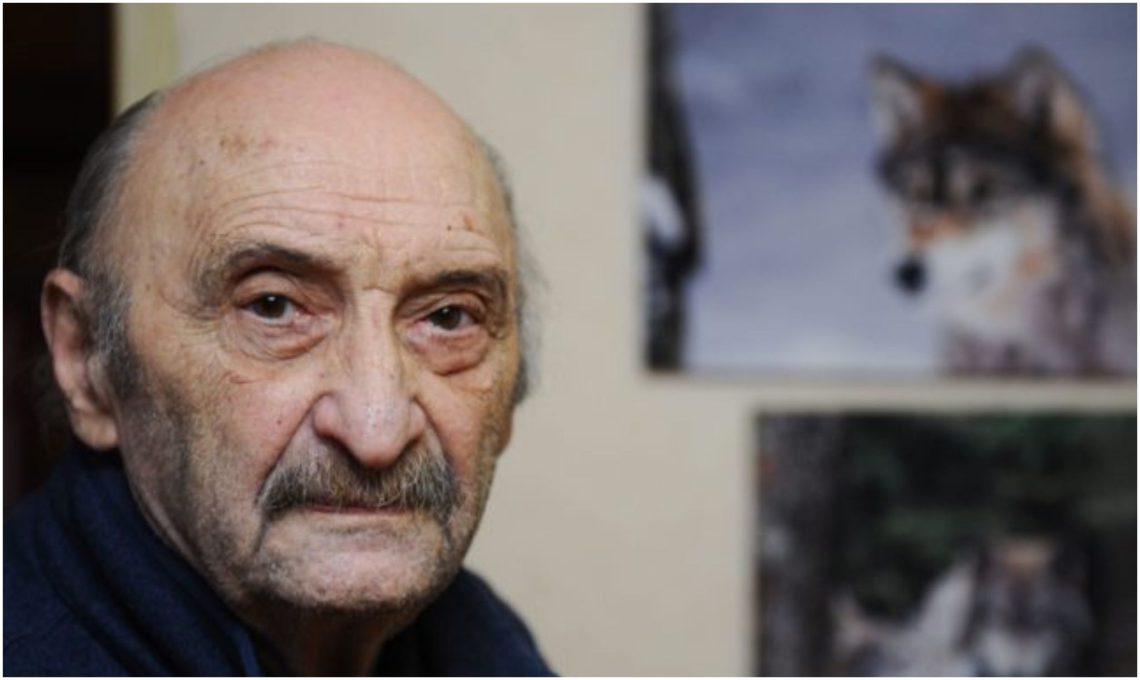 “ეს ხანა საუკეთესო იყო ჩემს ცხოვრებაში“- გასაოცარი ისტორია მამაკაცზე, რომელიც მგლებთან ერთად 2 წელი ცხოვრობდა