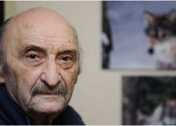 “ეს ხანა საუკეთესო იყო ჩემს ცხოვრებაში“- გასაოცარი ისტორია მამაკაცზე, რომელიც მგლებთან ერთად 2 წელი ცხოვრობდა