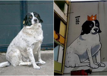 “ლეგენდარულმა კუპატამ, თითქმის 10 წლის შემდეგ, დაგვტოვა” – ემოციური პოსტი