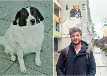 “ყველა ქალაქს ჰყავს/აქვს რაღაც სიმბოლო… ბათუმისთვის ეს იყო ძაღლი კუპატა” – ირაკლი კუპრაძის ემოციური პოსტი