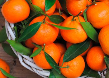 რატომ არის სასარგებლო მანდარინის ყოველდღე ჭამა?