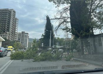 📷 “პოლიტკოვსკაიას ქუჩაზე ქარის შედეგად ხე მოტყდა ” – რა ფოტო ვრცელდება სოციალურ ქსელში