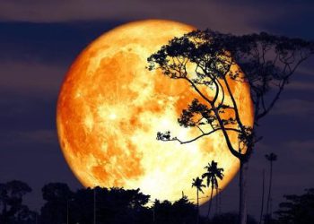 „აკონტროლეთ ემოციები, ეს არის დასრულების, შედეგის მიღების დრო“ – რას გვპირდება სავსემთვარეობა