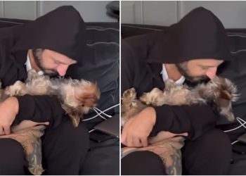 🎥 “რა საყვარლობაა” – სტეფანე მღებრიშვილო უთბილეს ვიდეოს აქვეყნებს