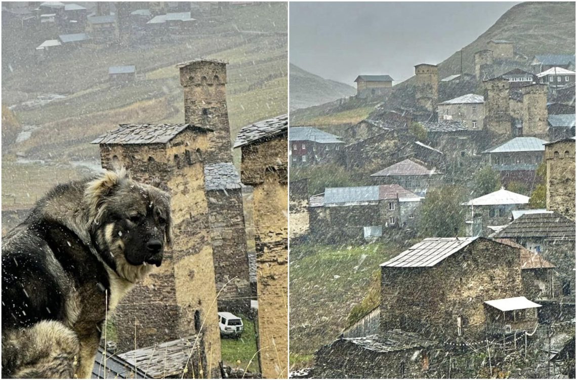 უშგულში პირველი თოვლი მოვიდა