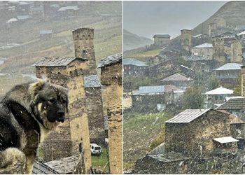 უშგულში პირველი თოვლი მოვიდა