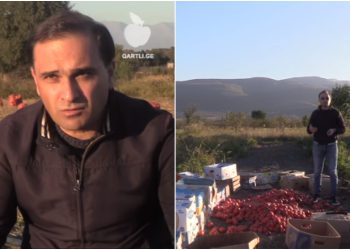 🎥 “გადაჯერებულია ქართული ბაზრები რუსული პროდუქციით” – რას აცხადებს ფერმერი ქარელიდან