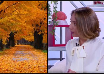 როგორ ვებრძოლოთ შემოდგომის სეზონურ ალერგიებს? – ექიმის რჩევები