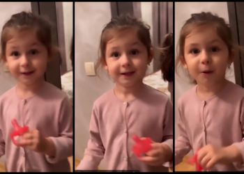 🎥 “დავაი წამო, დავაი” – ელის მარიას უსაყვარლესი ვიდეო