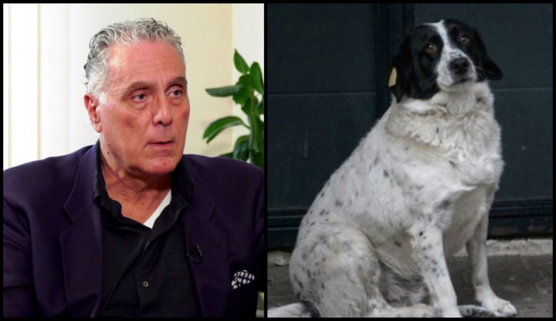 “კუპატამ 3 წელიწადში მეტი გააკეთა საქართველოს საერთაშორისო იმიჯისთვის, ვიდრე ქართულმა ოცნებამ 11 წელიწადში” – ფადი ასლი