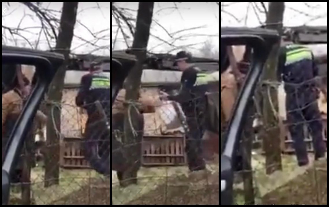 🎥 “ბებომ 112-ში დარეკა მშიაო, პოლიციამ მას სახლში საკვები მიუტანა” – ემოციური კადრები სოც ქსელს იპყრობს