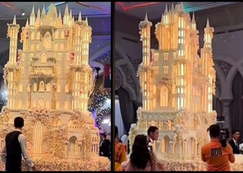 🎥 “ზოგს ამხელა სახლიც არ აქვს” – უზარმაზარი და ყველასგან განსხვავებული საქორწინო ტორტი