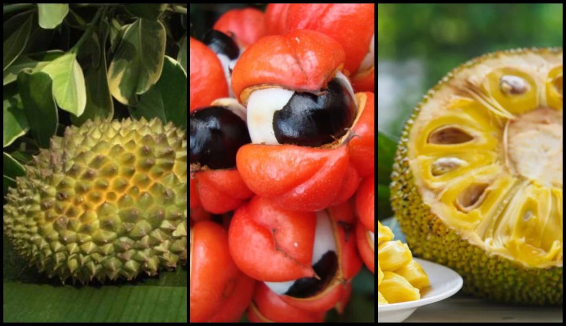 მსოფლიოს ათი უჩვეულო ხილი, რომელიც სულ უფრო პოპულარული ხდება