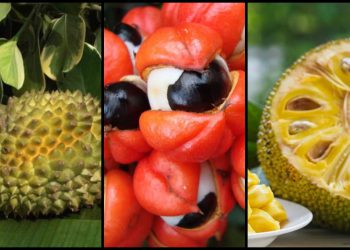 მსოფლიოს ათი უჩვეულო ხილი, რომელიც სულ უფრო პოპულარული ხდება