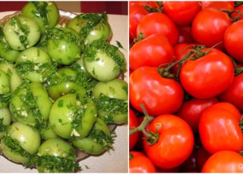 ,,სამ დღეში მზადაა” – პომიდვრის მწნილის რეცეპტი მანანა მაისურაძისგან