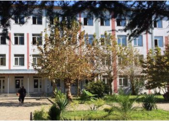 „პედაგოგმა მოსწავლეზე ფიზიკურად იძალადა“ – რა მოხდა ქობულეთის მეორე საჯარო სკოლაში