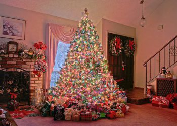 როდისაა საუკეთესო დრო ნაძვის ხის დასადგამად?!