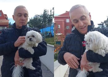 “აი, ამ საყვარელი არსების უფლებები დაიცვა ჩემმა შვილმა აი, ამ საყვარელი არსების უფლებები დაიცვა ჩემმა შვილმა” – თამაზ ელიზბარაშვილი