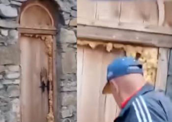 🎥 „ეს არის ჩვენი სალოცავი, ლომისა, ვენაცვალე შენს ძალასა და მადლსა… რაზე ჩაჭედეს ეს კარი…“ – თამაზ გინტურის სავარაუდოდ, უკანასკნელი ვიდეო