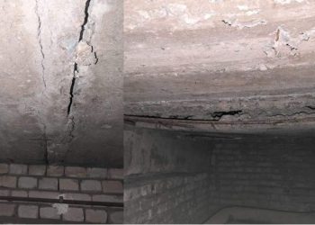 „მიწისძვრის დროს შანსი არ გვაქვს, პირველი, სეისმოლოგების შენობა დაეცემა ბრძოლის ველზე“ – რას წერს თეა გოდოლაძე