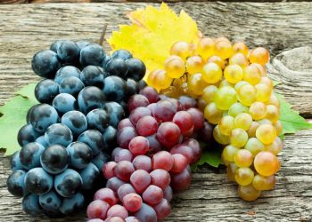 ყურძნის სამკურნალო თვისებები