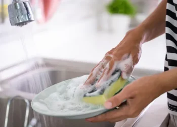 ჭურჭლის ღრუბელი სახლში ერთ-ერთი ყველაზე ბინძური ნივთია – რა უნდა გავითვალისწინოთ მისი შერჩევისას?