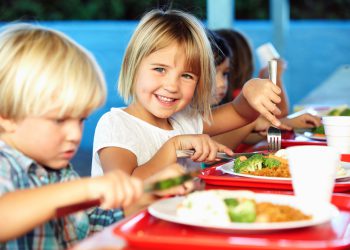 სკოლის კვების ობიექტებში არაჯანსაღი პროდუქტების გაყიდვა აიკრძალა