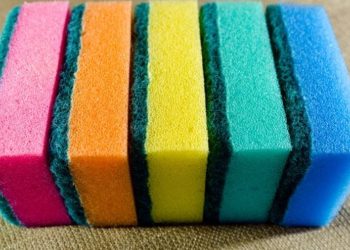 ჭურჭლის ღრუბელი სახლში ერთ-ერთი ყველაზე ბინძური ნივთია – რა უნდა გავითვალისწინოთ მისი შერჩევისას?