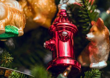 როგორ შევხვდეთ 2024 წელს, როგორ მოვრთოთ სახლი და როგორ მოვიზიდოთ შინ იღბალი