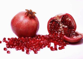 ბროწეულის ქერქის სამკურნალო თვისებები