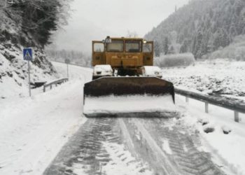 გზების დეპარტამენტი ინფორმაციას ავრცელებს