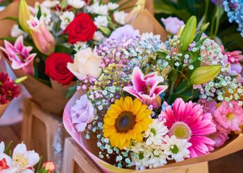 ყვავილები შეიძლება ნეგატიური ენერგიის წყაროდაც იქცეს – რა უნდა იცოდეთ მცენარეების სახლში მიტანამდე