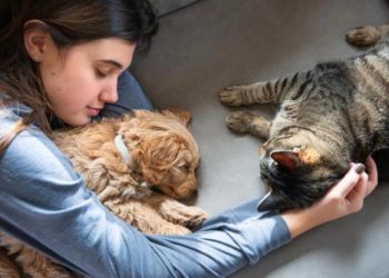 რამდენიმე მიზეზი, რამაც შესაძლოა გადაგაფიქრებინოთ შინაურ ცხოველებთან ძილი