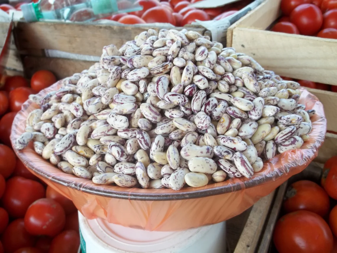 სად და როგორ უნდა შეინახოთ ზამთარში ლობიო