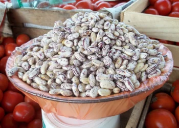 სად და როგორ უნდა შეინახოთ ზამთარში ლობიო