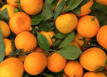 რითია სასარგებლო მანდარინი და როდის წამლავს ის ბავშვს