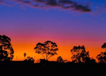 რა არ უნდა გააკეთოთ მზის ჩასვლის შემდეგ