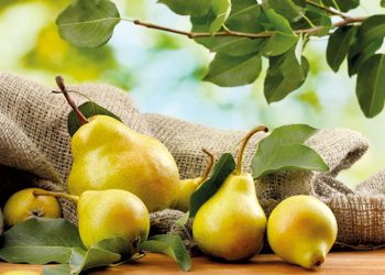 მსხლის 5 სარგებელი ჯანმრთელობისთვის