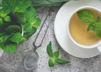 რა სარგებელი აქვს პიტნის ჩაის და რეკომენდებულია თუ არა მისი ყოველდღე მოხმარება