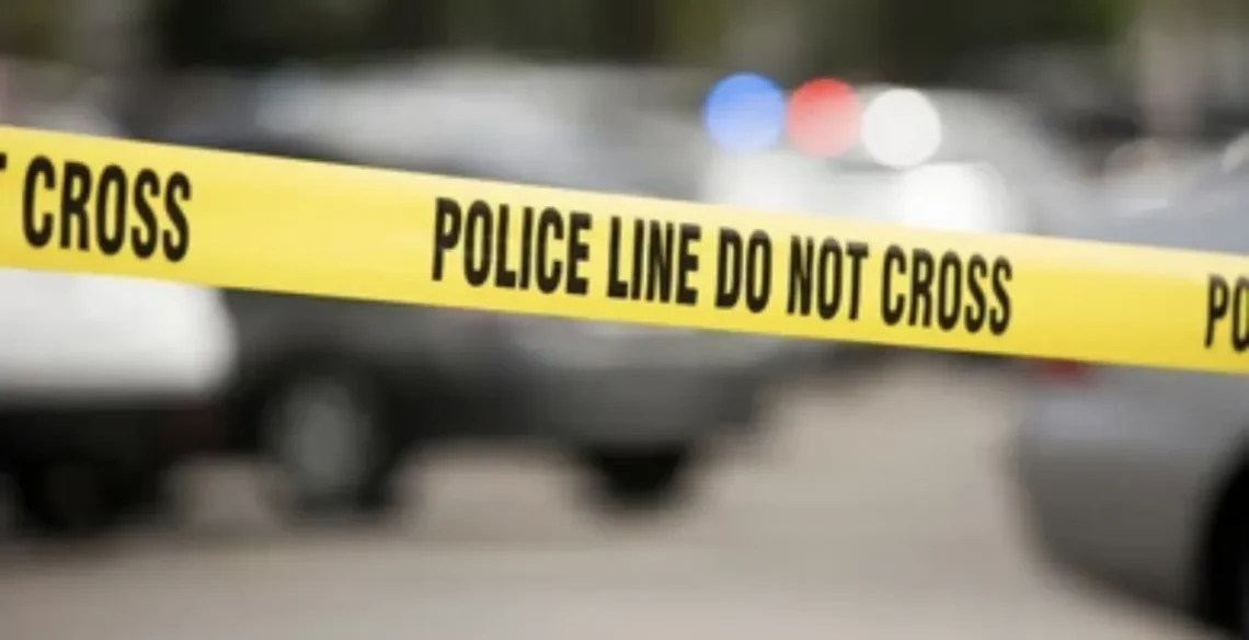 “მაშველები მაღაროელების ამოყვანას მომდევნო 12-15 საათში შეძლებენ” – რა ვიცით ინდოეთის შახტაში ჩარჩენილი 41 პირის მდგომარეობაზე