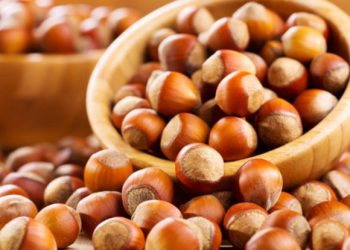 თხილის ყველაზე საშიში დაავადებები